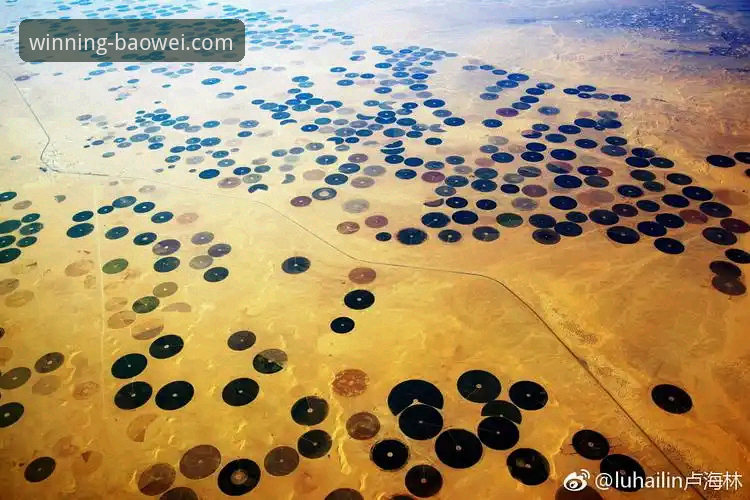 宝威体育直播入口 沙漠天堂的召唤 vs 中东困局:一场关于“抵达”的现代体育创新实验