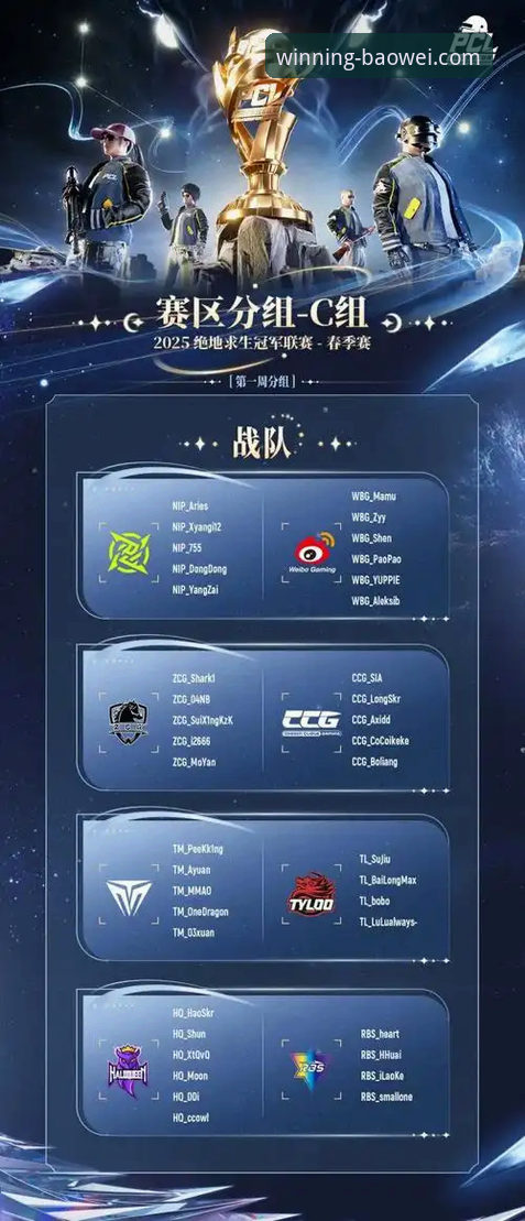 宝威体育平台：官方App下载与网页版登录的全面对比与专业推荐